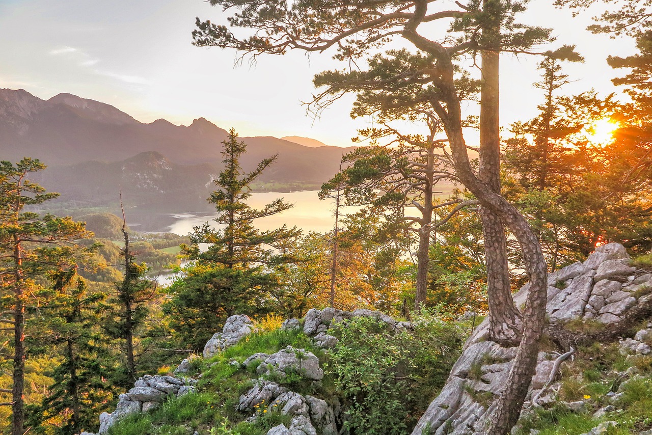 Paesaggio montuoso. Sullo sfondo vediamo delle motagne, in primo piano alberi illuminati dal sole